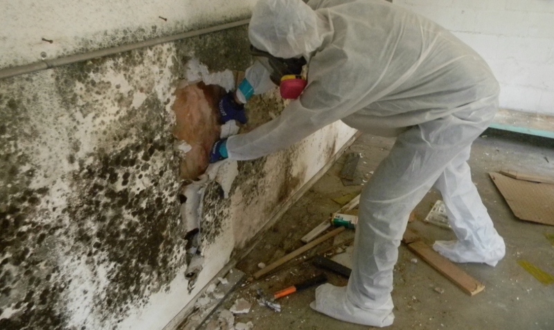mold-removal-remediation-kahului-maui-2