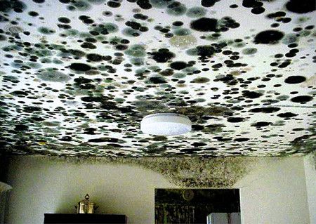 ceilingmold-e1397831800888